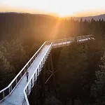 ホテル Pohorje Village Wellbeing - Wellness & Bolfenk 4*