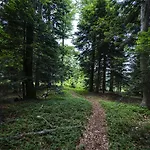 Pohorje Village Wellbeing - Wellness & Bolfenk 4*