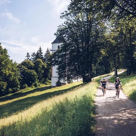 Pohorje Village Wellbeing - Wellness&spa Bolfenk Hotel
