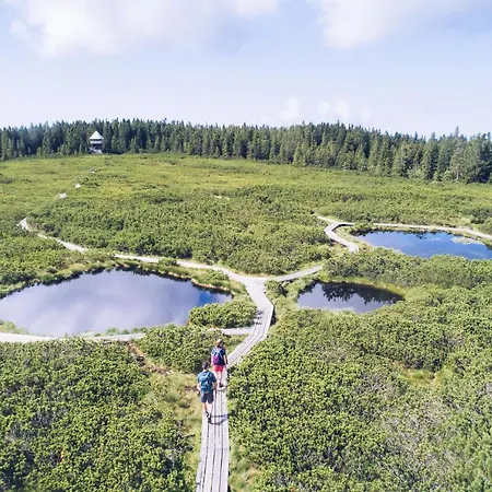 Pohorje Village Wellbeing - Wellness & Bolfenk Hotel