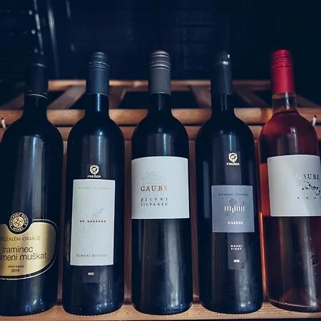 Otel Pohorje Village Wellbeing - Wellness & Bolfenk