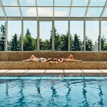 Hotel Pohorje Village Wellbeing - Wellness & Bolfenk 4*