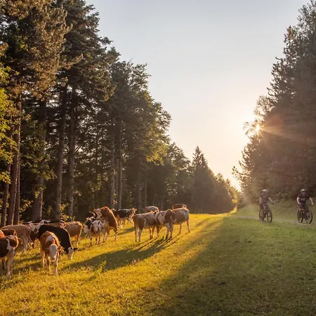 Pohorje Village Wellbeing - Wellness & Bolfenk Hotel Maribor