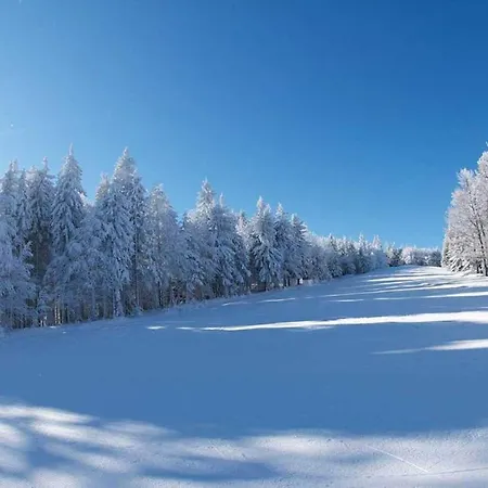 Pohorje Village Wellbeing - Wellness & Bolfenk Maribor