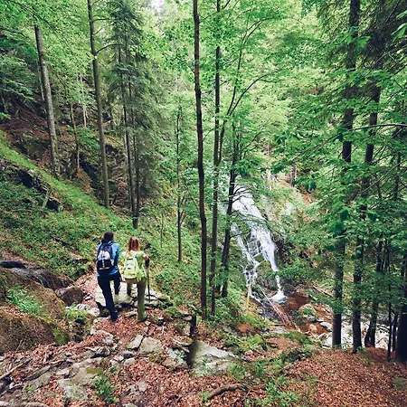 Pohorje Village Wellbeing - Wellness & Bolfenk 4* Maribor