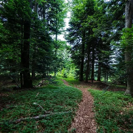 Pohorje Village Wellbeing - Wellness&spa Bolfenk Hotel