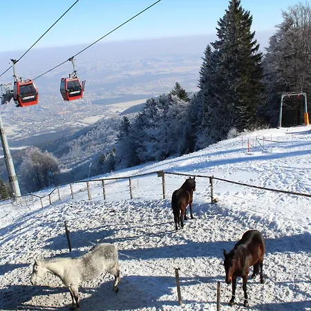 Hotel Pohorje Village Wellbeing - Wellness&spa Bolfenk Marburg