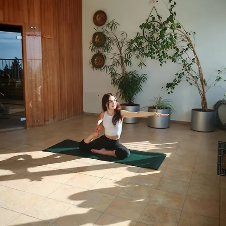 Pohorje Village Wellbeing - Wellness & Bolfenk Otel Hočko Pohorje