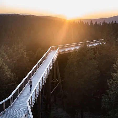 Hotel Pohorje Village Wellbeing - Wellness & Bolfenk 4*