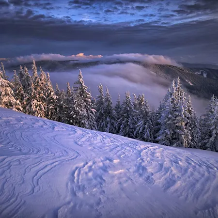 Pohorje Village Wellbeing - Wellness & Bolfenk Hotel 4*