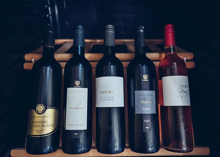 Hotel Pohorje Village Wellbeing - Wellness & Bolfenk