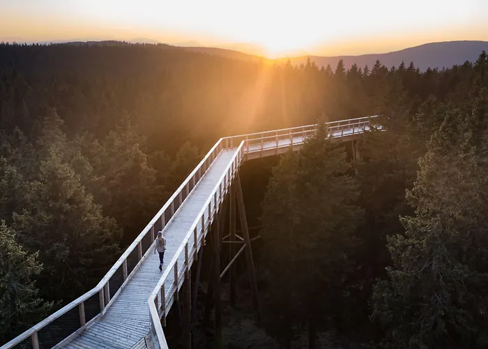 Hotel Pohorje Village Wellbeing - Wellness & Bolfenk 4*