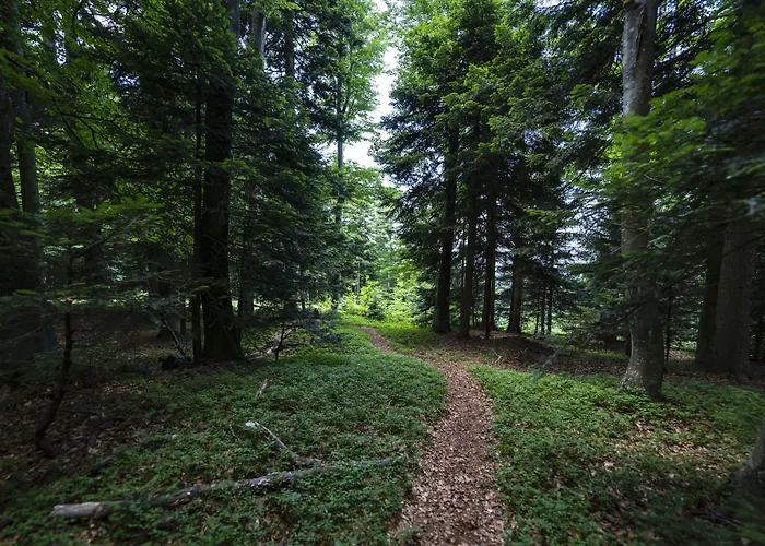 Pohorje Village Wellbeing - Wellness & Bolfenk 4*